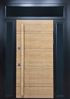 Металлическая термодверь МДФ с остеклением по бокам и сверху + бугельная ручка Металлическая термодверь МДФ с остеклением по бокам и сверху + бугельная ручка